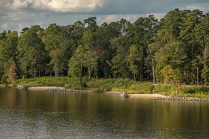 Chickahominy Riverfront Park in Williamsburg, Virginia