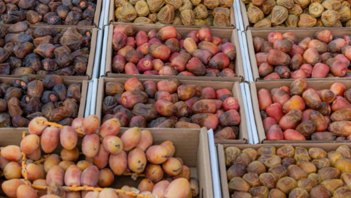Buraidah Dates Carnival highlights Qassim’s lead in Saudi date production