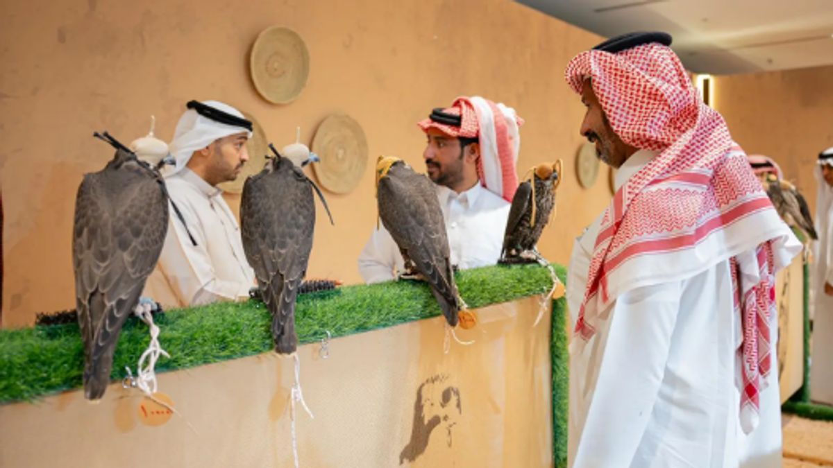 Strong turnout for International Falcon Breeders Auction over weekend