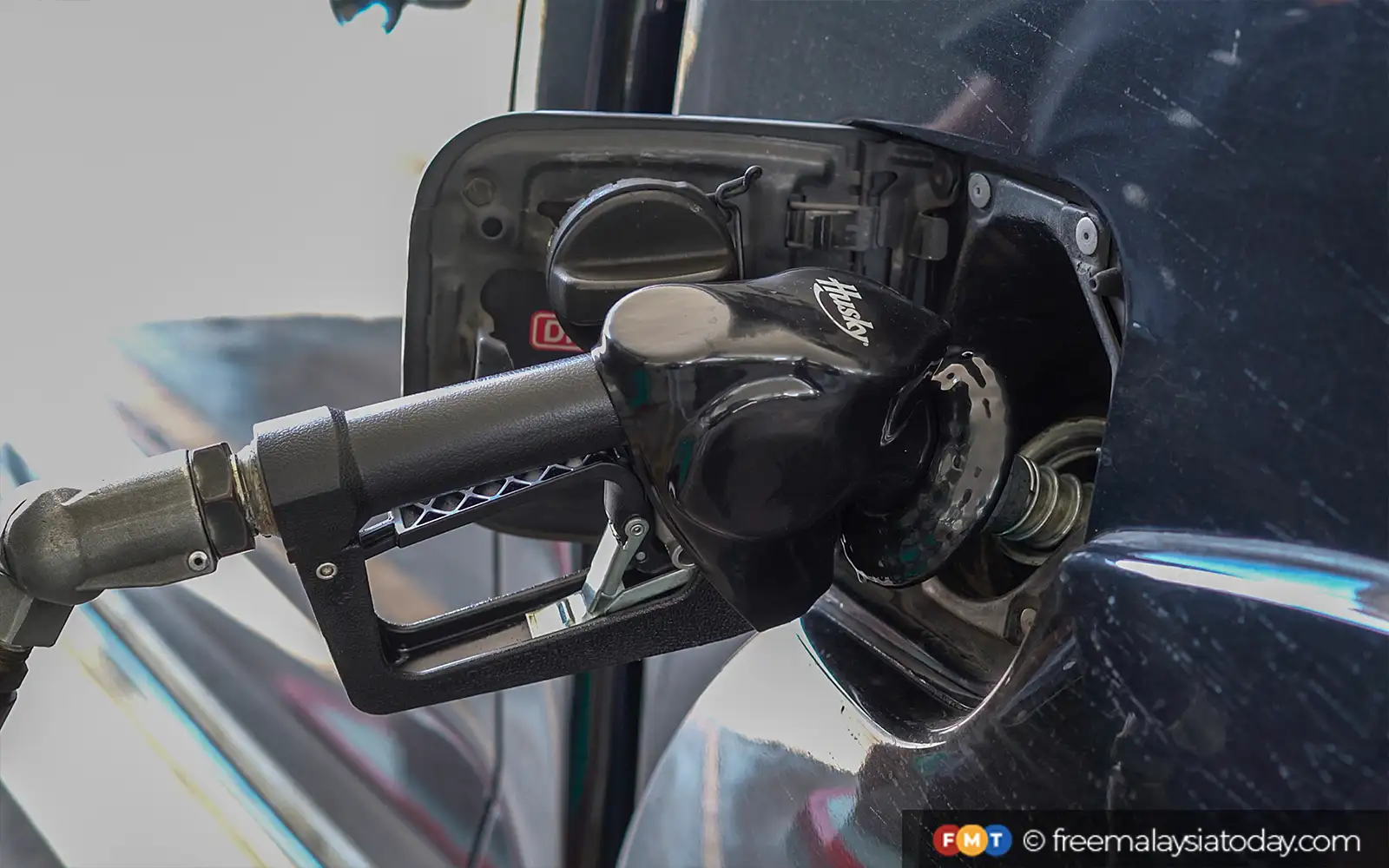 Ascertain usage before raising subsidy quota, says economist