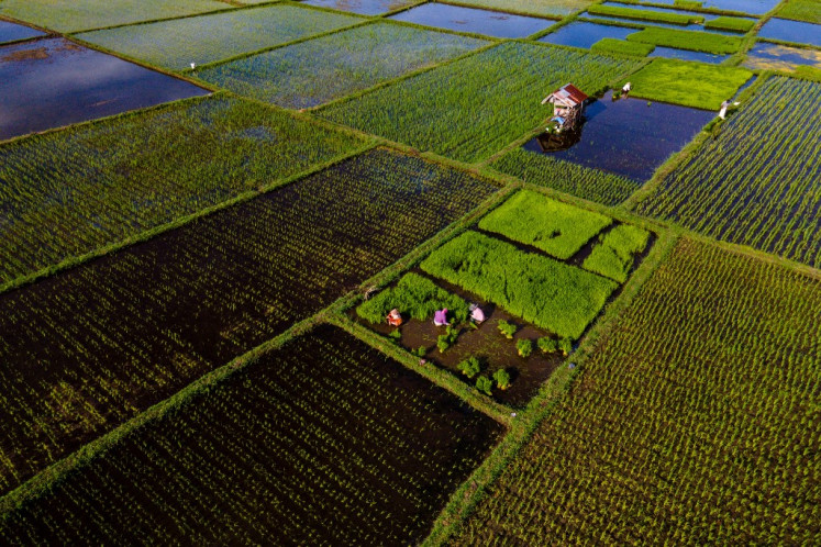 Independence still eludes marginal farmers