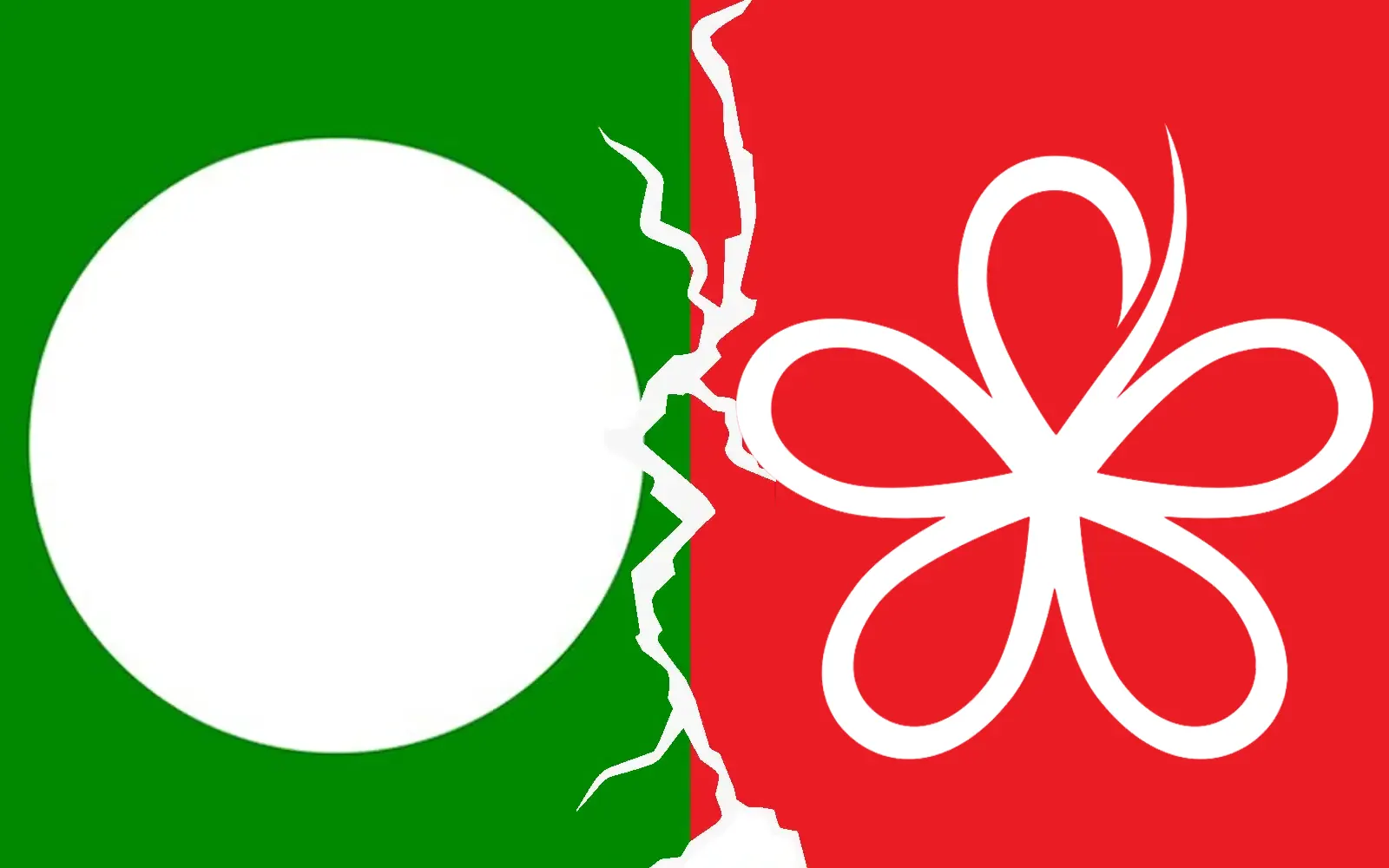 Bersatu cadang lapor pertikaian keahlian PN kepada JPPM