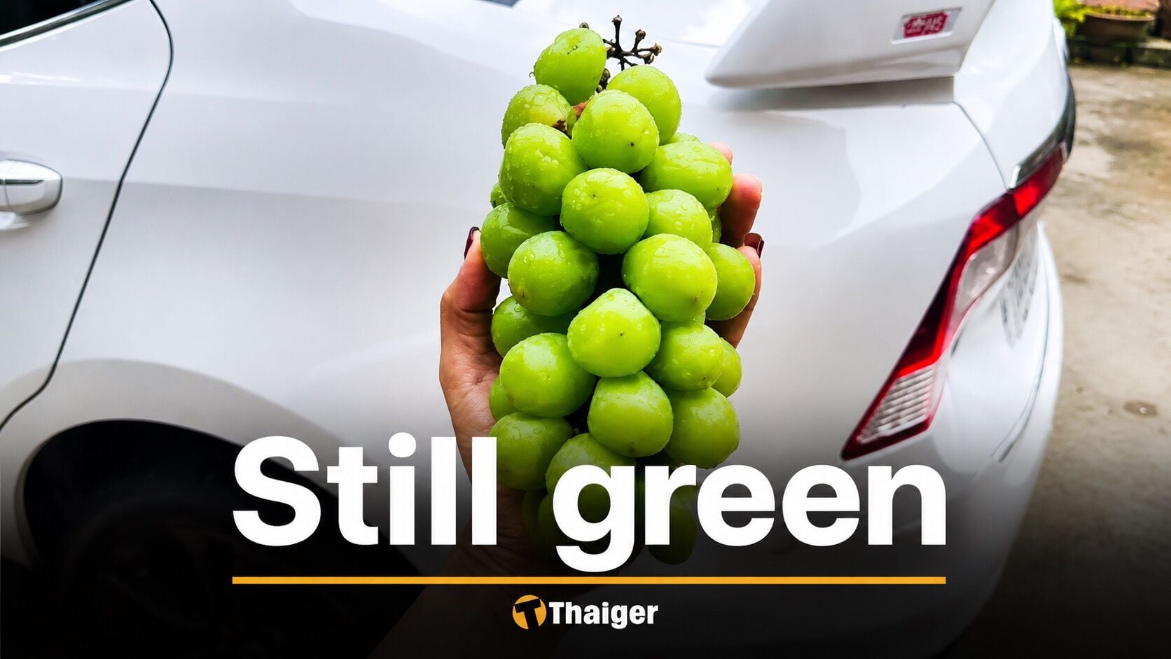 Grapes left unrefrigerated for 43 days spark food safety debate in Thailand
