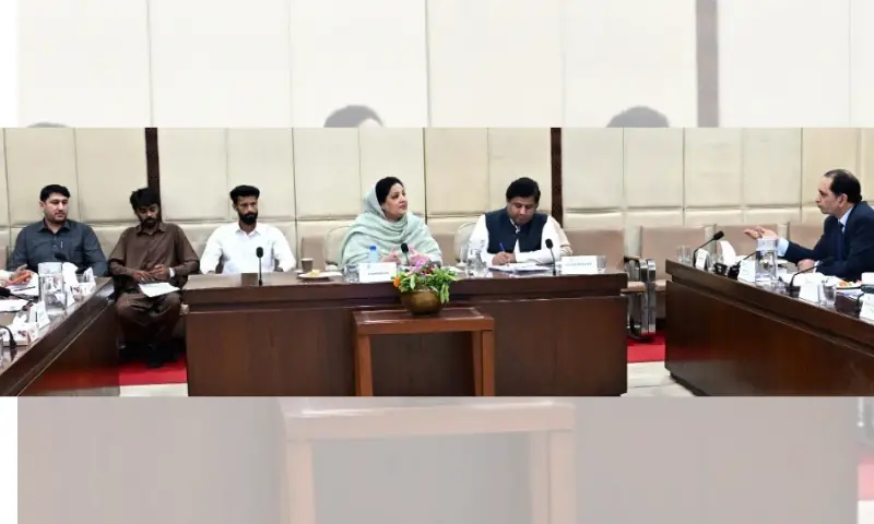 Senate panel reviews export performance