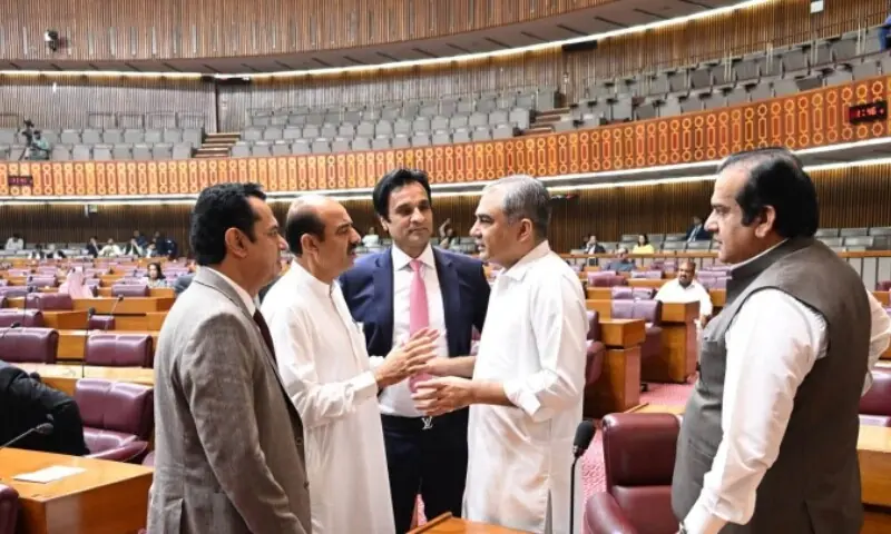 Constituency issues dominate NA session