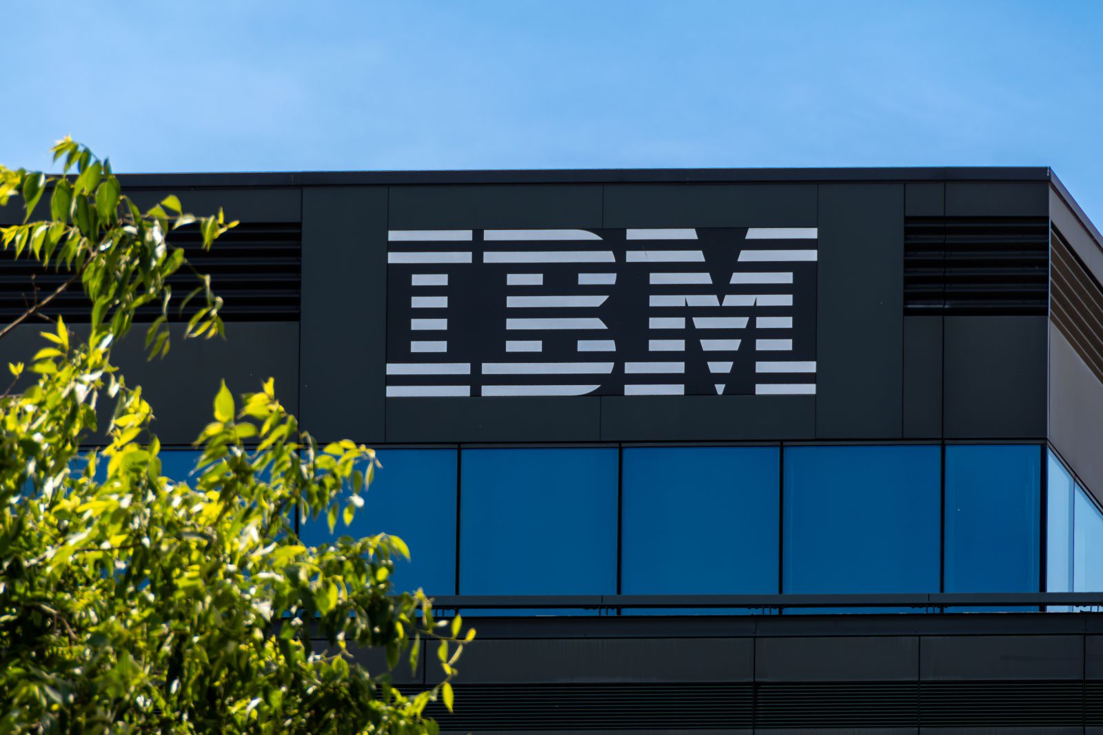IBM Just Hit a New Quantum Computing Milestone. How to Play IBM Stock Now.