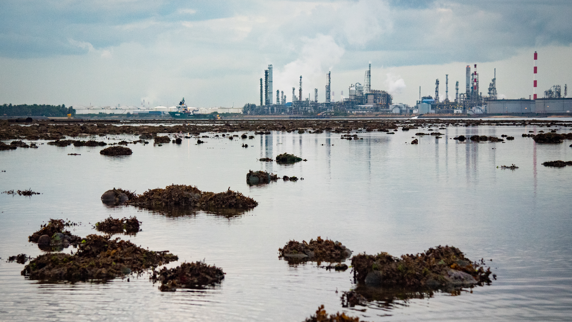 Govt recognises biodiversity value of Western islands, studies will be conducted before development: MND