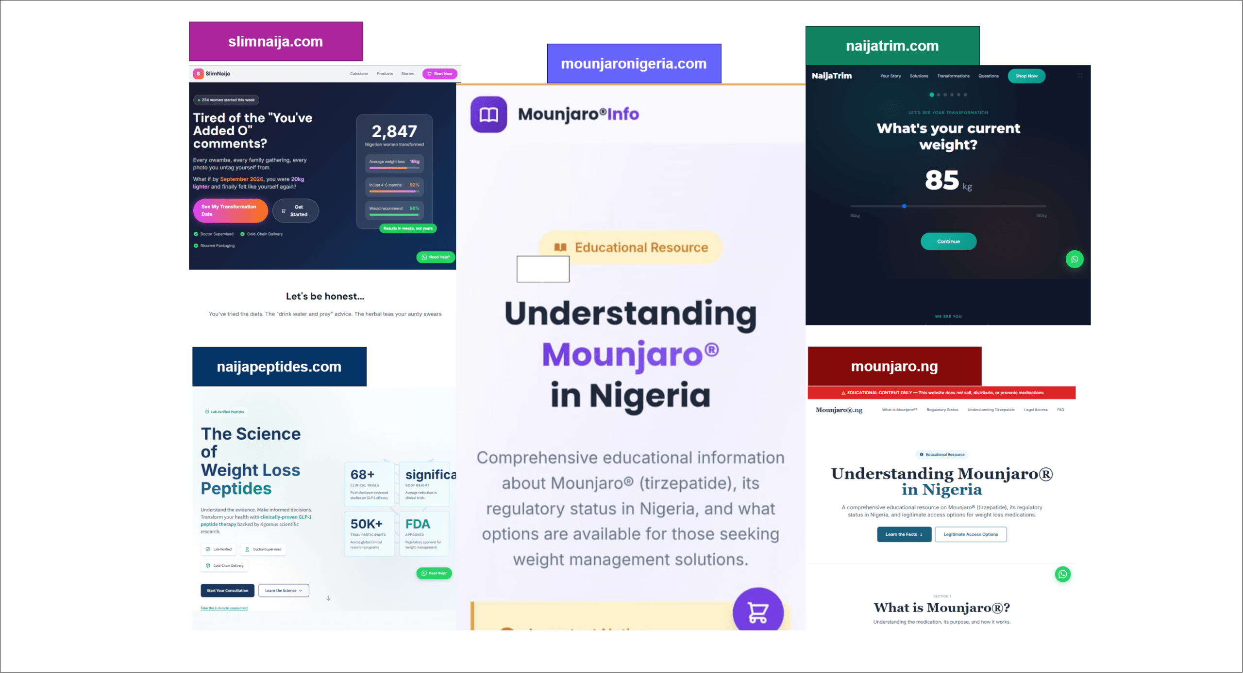 INVESTIGATION: Social media, anonymous websites drive Nigeria’s poorly regulated weight-loss injection market