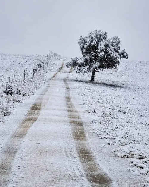 Eastern Cape snow warning: SAWS issues Yellow Level 2 alert as up to 35cm snow forecast