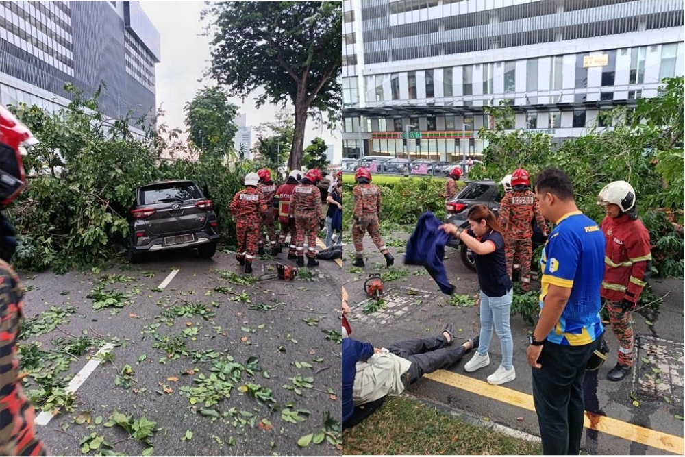 Three freed after fallen tree traps them inside car in George Town