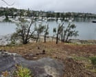 Sydney gardener fined almost $200,000 for removing 287 trees to improve harbourside mansion’s water views