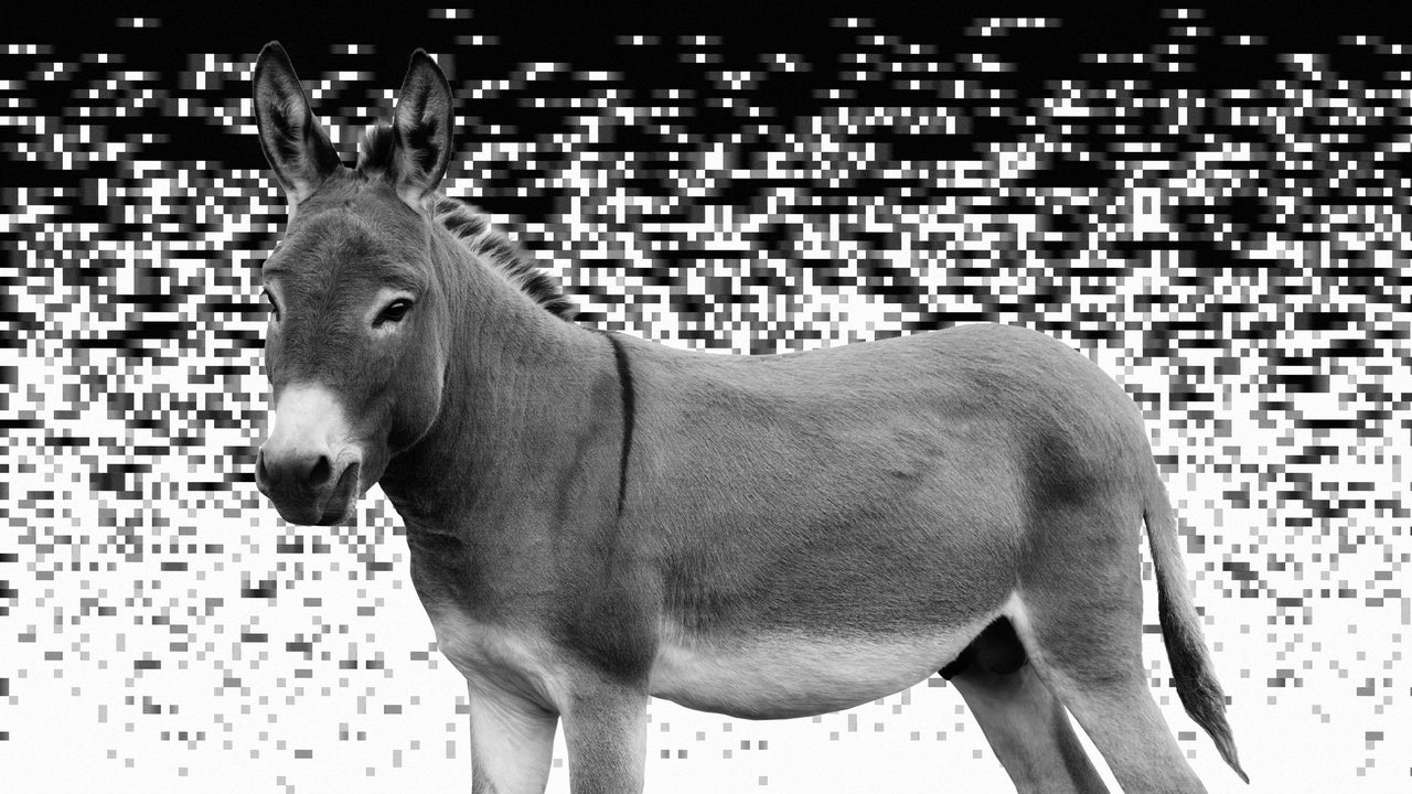 Meet Eloise, the Florida donkey taking on the data center boom