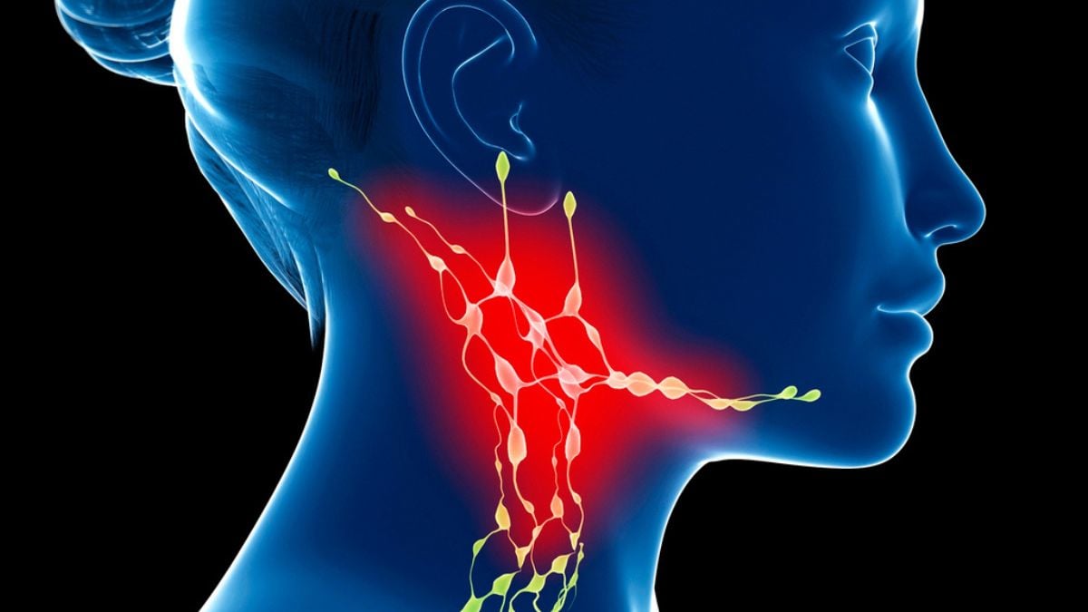 Tiny Channels in Your Neck Might Determine How Your Brain Ages