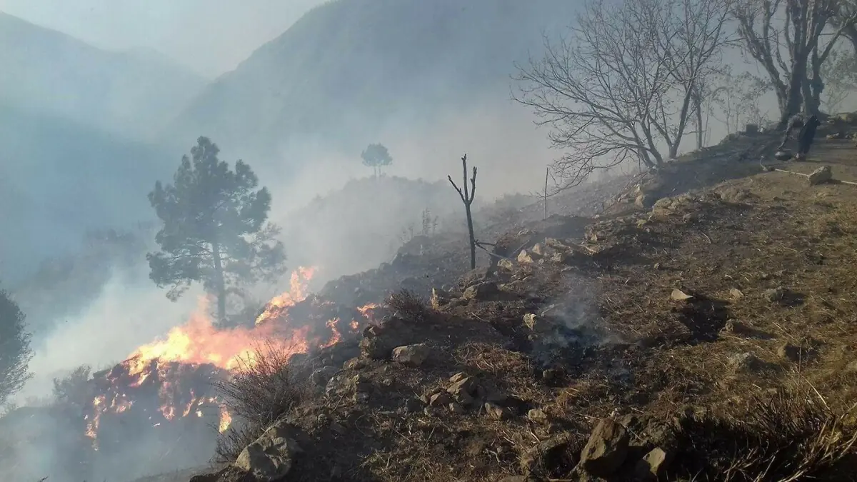 Forest fires erupt in KP's Mohmand