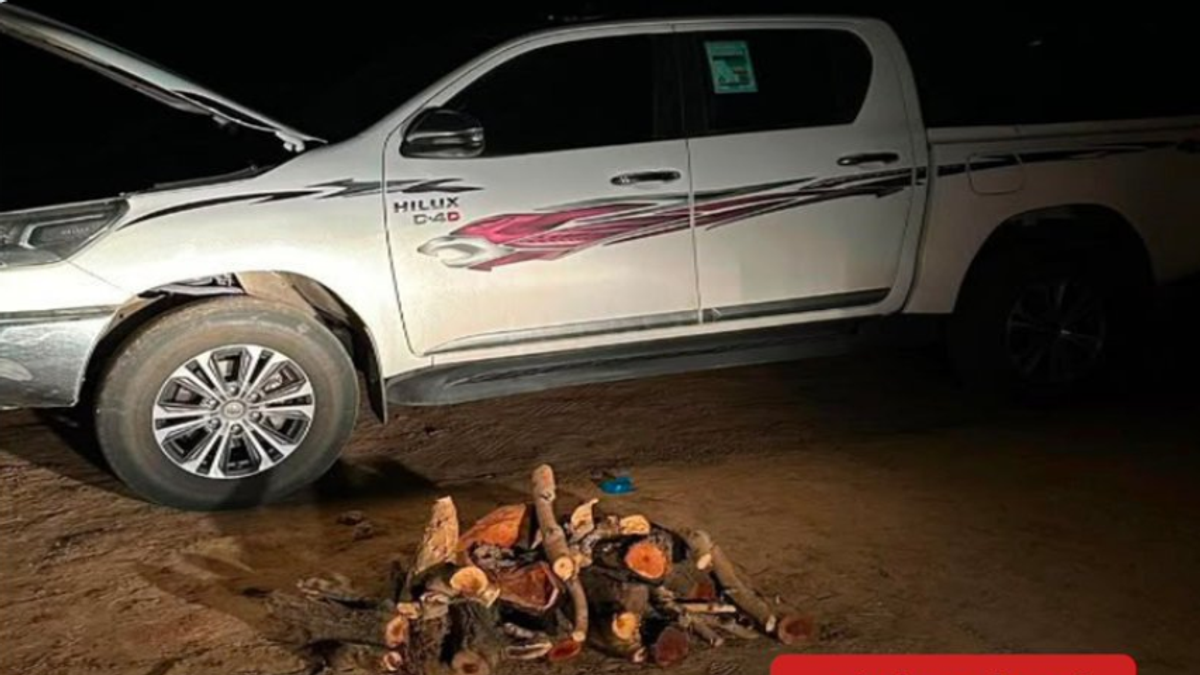 Environmental Security seizes citizen for transporting local firewood in Asir