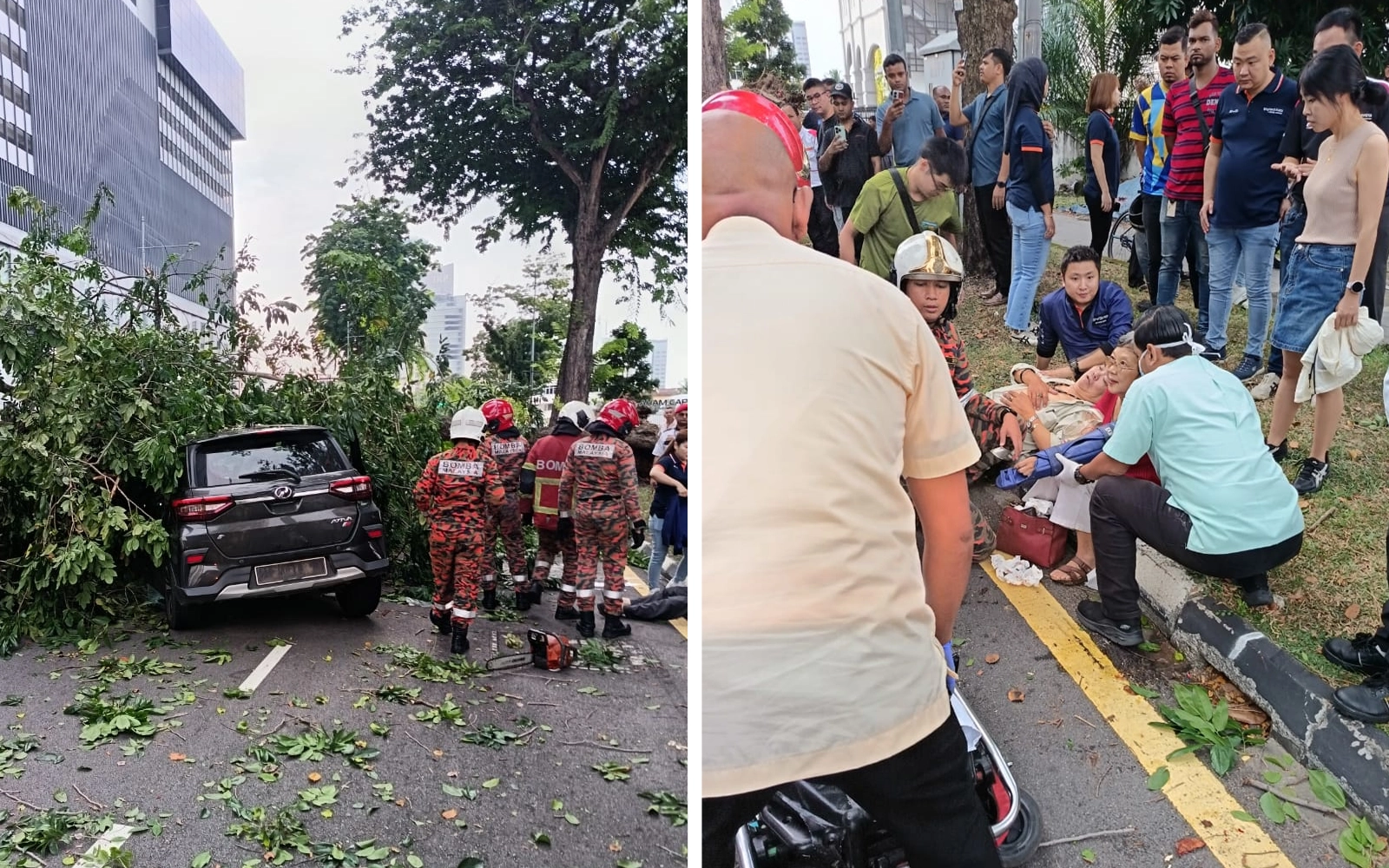 3 sekeluarga cedera dihempap pokok tumbang