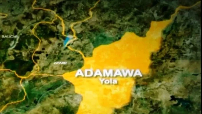 2027: Why Adamawa North is a battleground for next governorship election