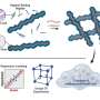 Researchers develop hydrogels to create a programmable niche for blood stem cells