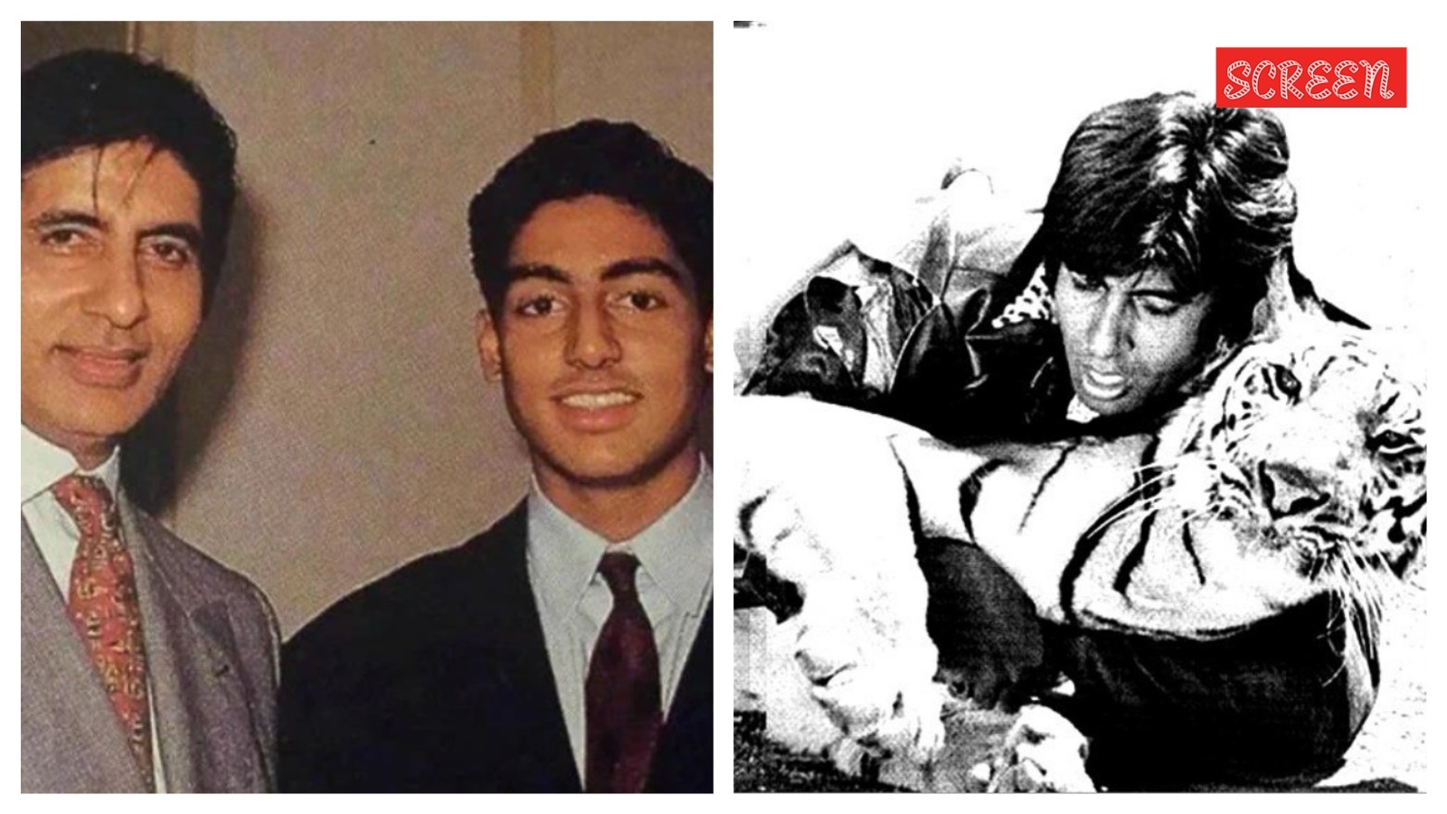 ‘Mere ghar pe ek sher paida hua hai’: Abhishek’s birth inspired Amitabh to fight tiger on set