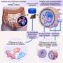 Gut bacteria may communicate differently with the human body in patients with Parkinson's disease