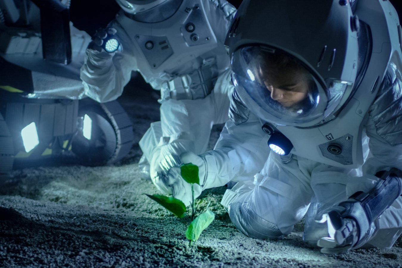 Are there plants that could survive as a food source on the moon? Part 2
