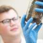 Chagas parasite's survival trick offers antimalarial-style target