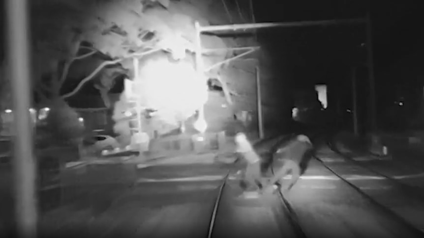 'Mind-blowing' near misses along Adelaide rail lines prompt plea to pedestrians