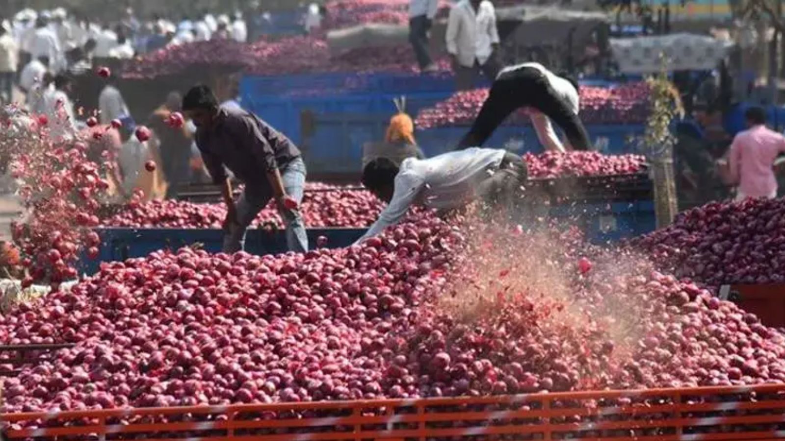 First Kanda Express set to arrive from Nashik, Capital readies onion plan
