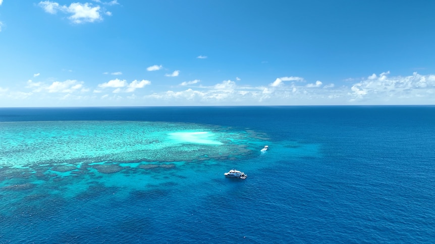 Reduced fertiliser use linked to cleaner water flowing to Great Barrier Reef
