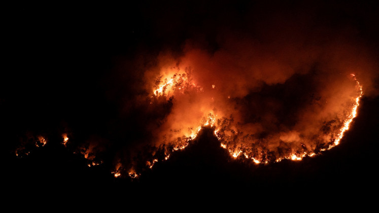 Why El Niño isn’t the sole culprit of forest fires