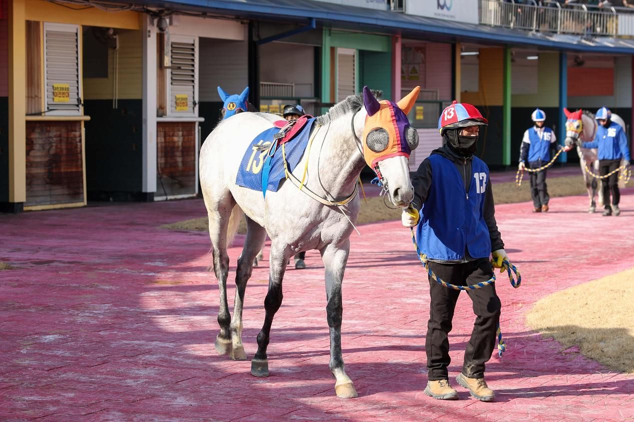 Horse racing authority hit for hosting races under extreme heat