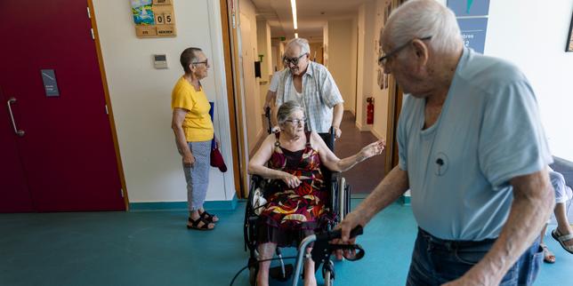 After the fire in Gironde, the return of seniors evacuated in an emergency to their Ehpad