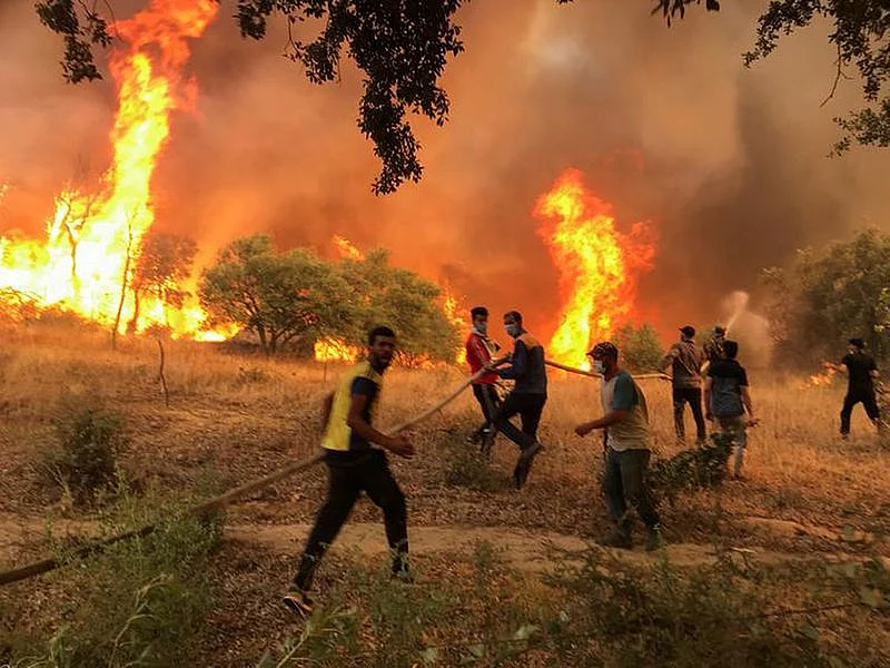 Algeria wildfires kill 12 as 154 fires rage across country