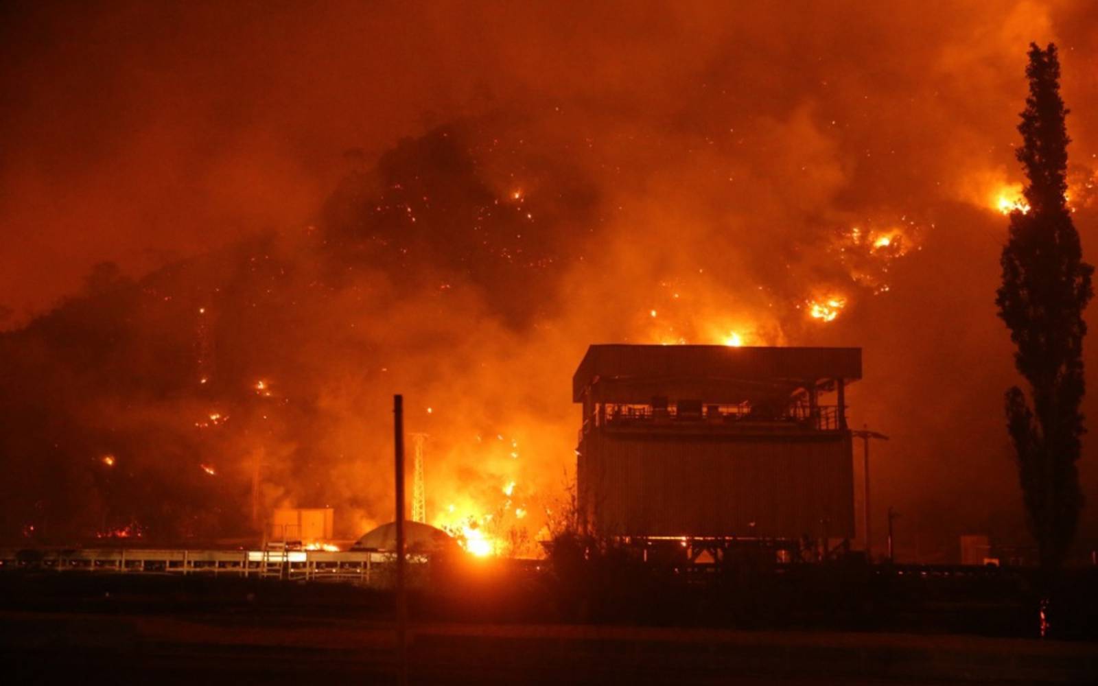 Death toll from Algeria wildfires rises to 12