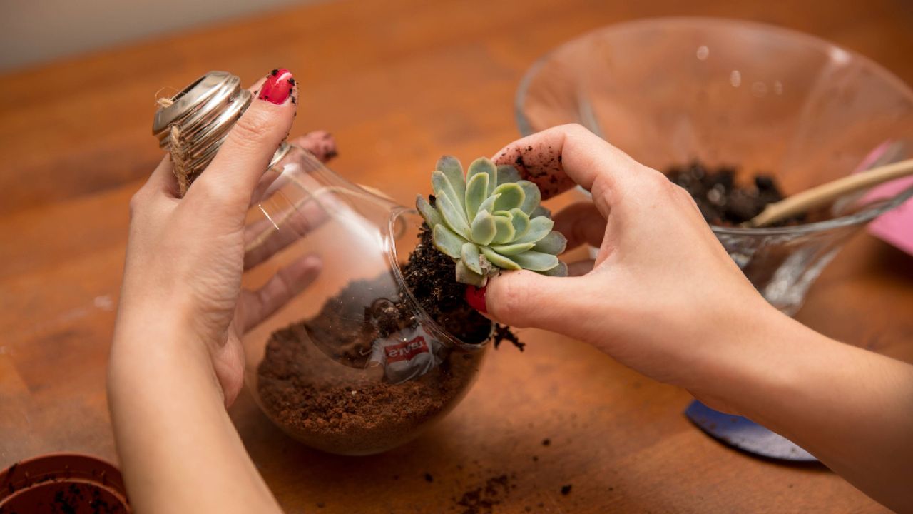 Forget high-maintenance houseplants: A DIY terrarium is a gorgeous centerpiece that thrives on neglect