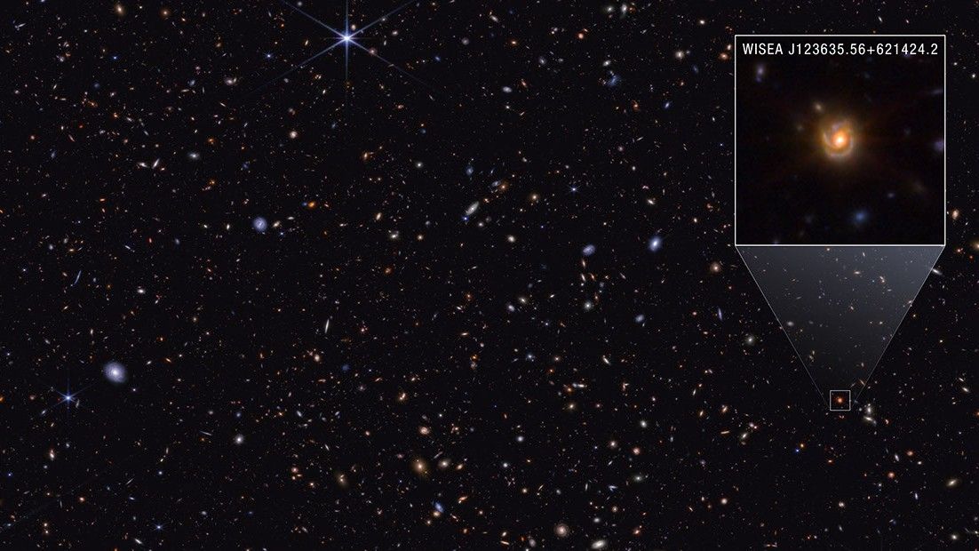 New James Webb telescope image may reveal the true identity of 'little red dots' — Space photo of the week