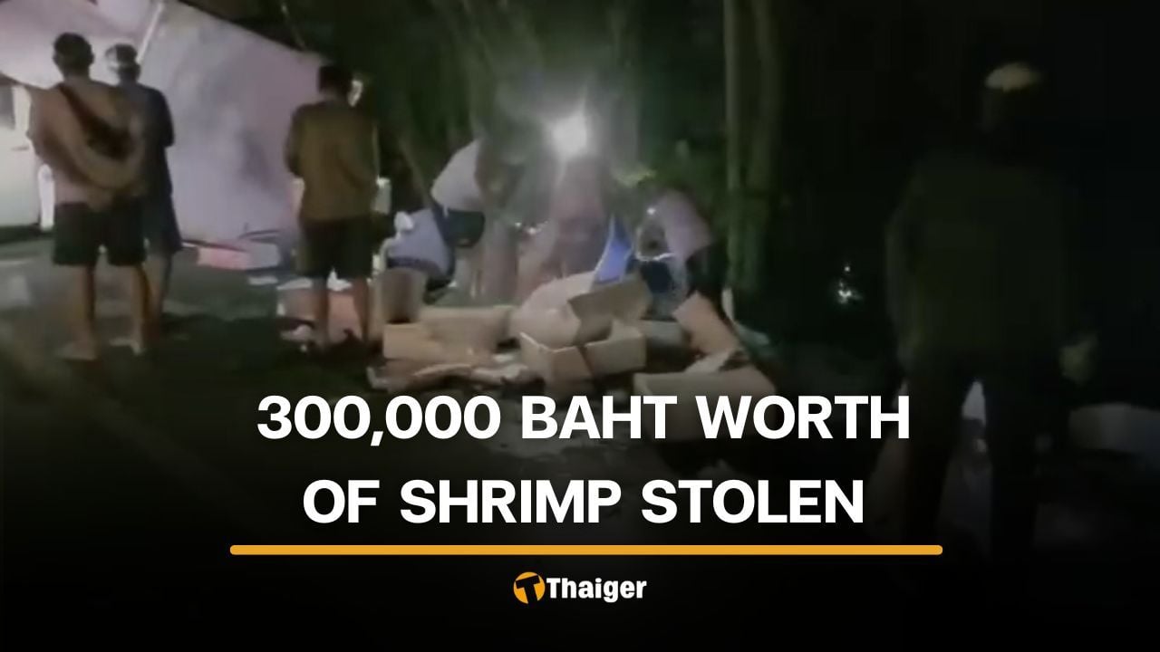 Lampang locals convicted of stealing shrimp from overturned truck
