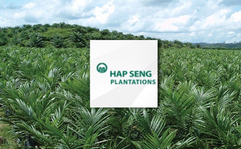 FFB recovery may drive Hap Seng's second-half performance
