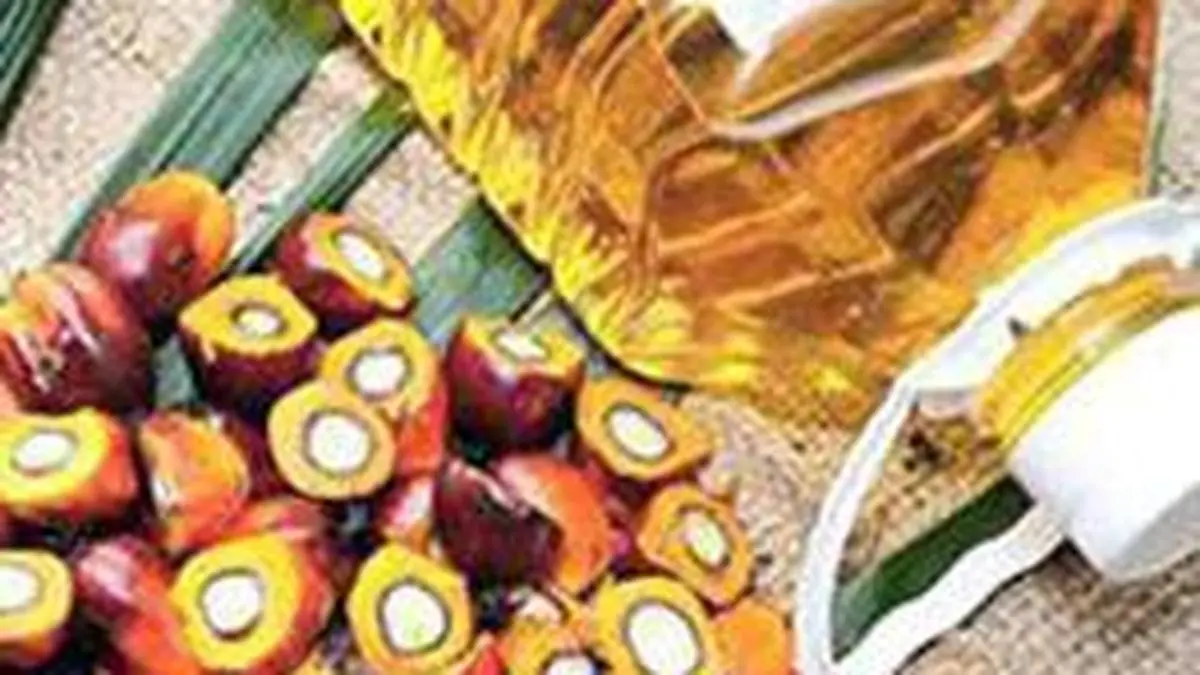 Global palm oil prices seen surging on narrow production surplus