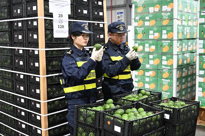 China-Africa trade hits record high as zero-tariff policy boosts African exports
