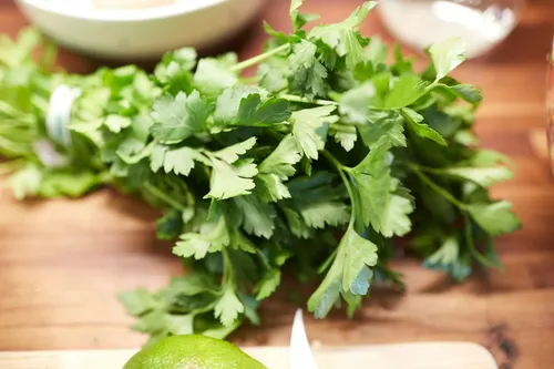 How to store coriander so it stays fresh for longer