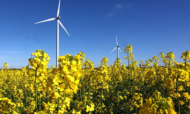 Britons support efforts to use more renewable energy - but question its effectiveness in bringing down bills