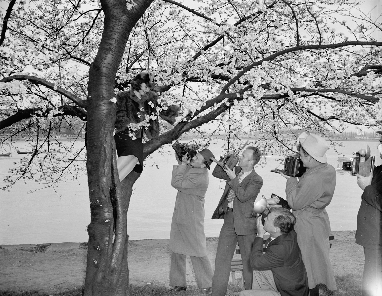 Mirrorless cameras made photography different, not easier