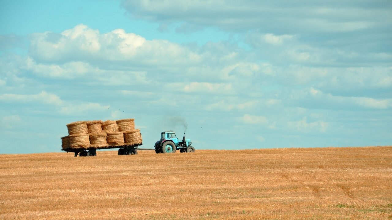 Amber Waves of Grain Are Up By 28%
