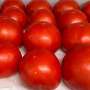Tomatoes get flavor boost from green bin compost
