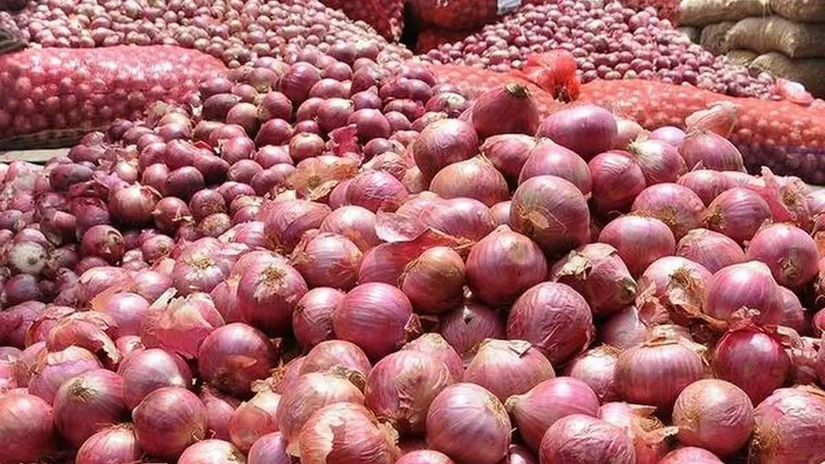 Centre starts onion sales in Delhi NCR at ₹35/Kg, at other places soon