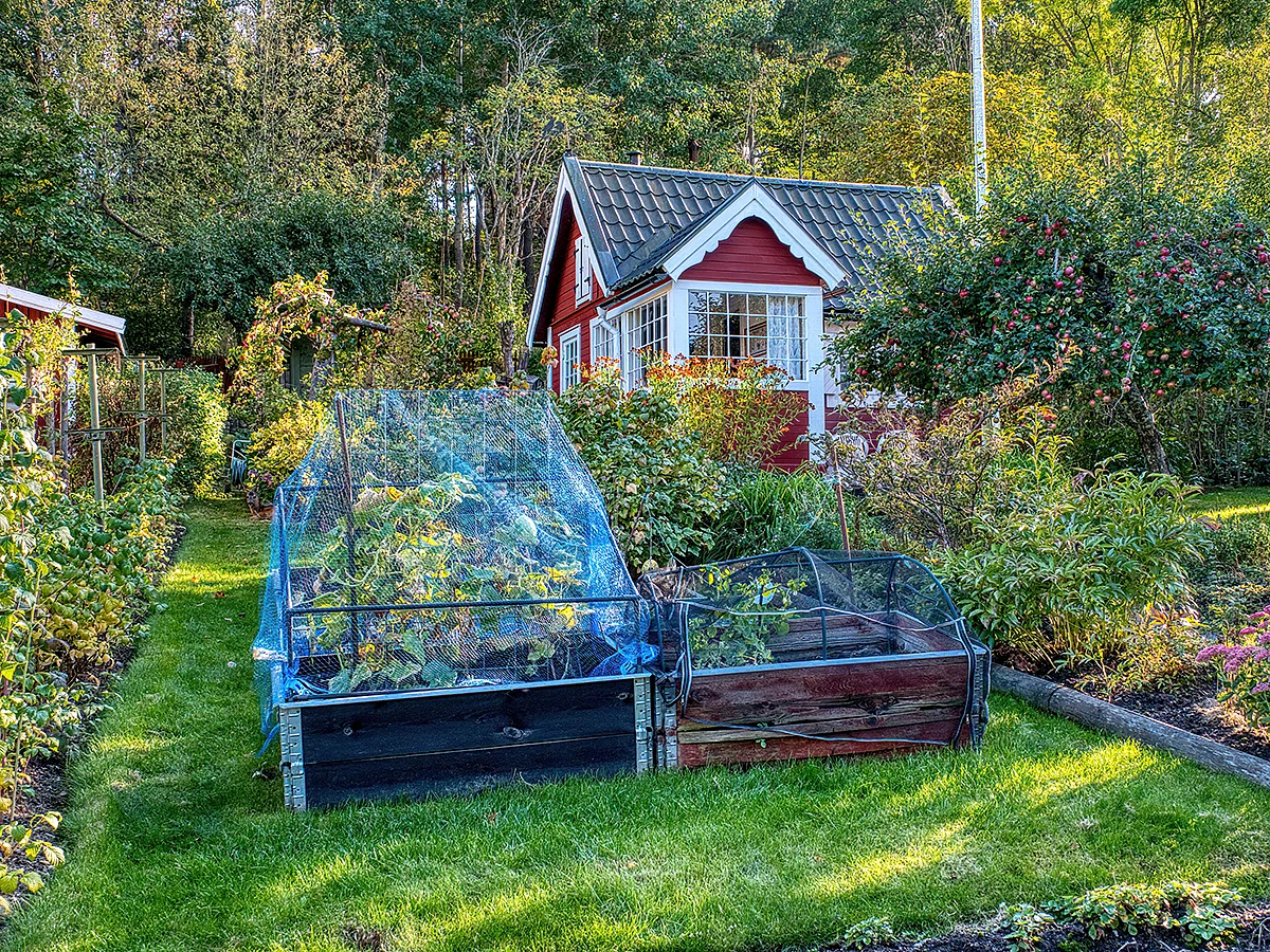 Green spaces linked to lower risk of type 2 diabetes