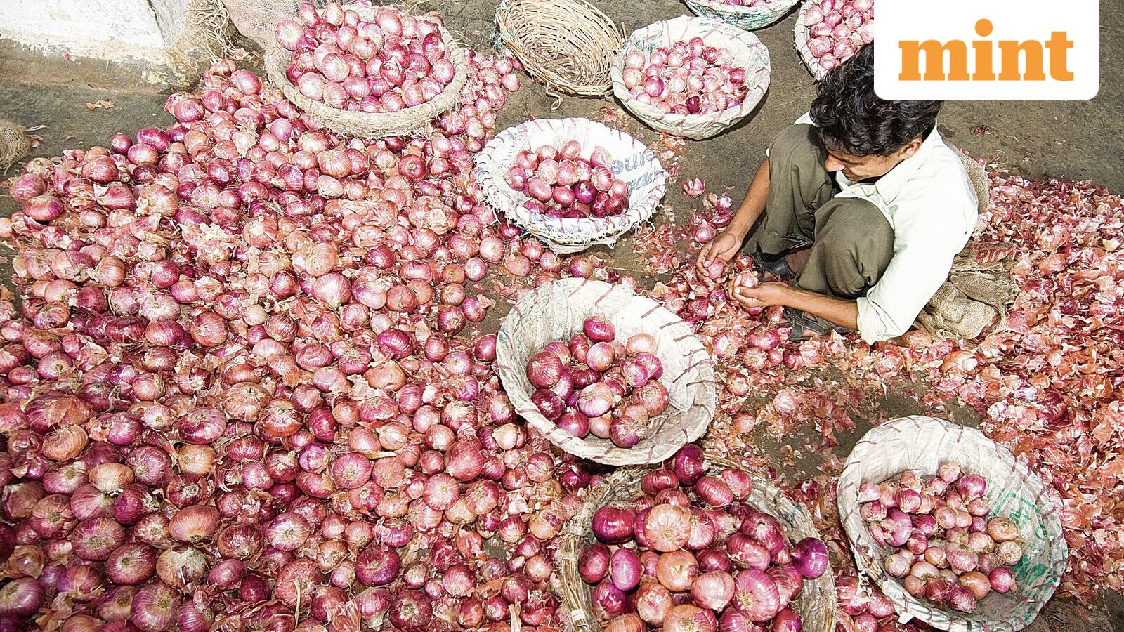 Govt rules out onion export curbs, begins ₹35/kg buffer-stock sales
