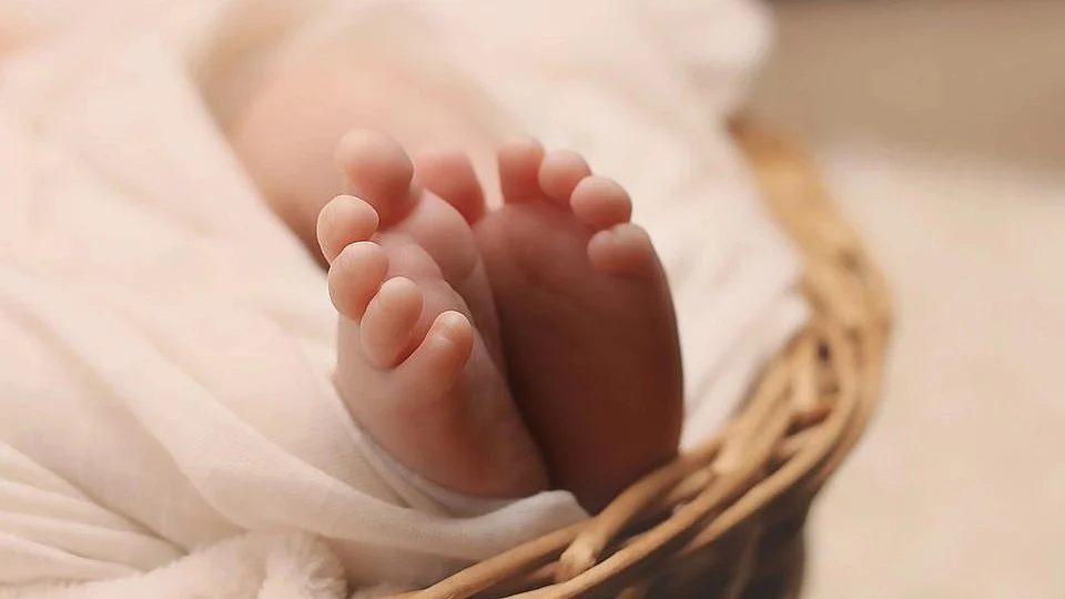 Tragedy In Vasai: 1-Year-Old Girl Dies After Slipping From Mother’s Arms on Moving Two-Wheeler