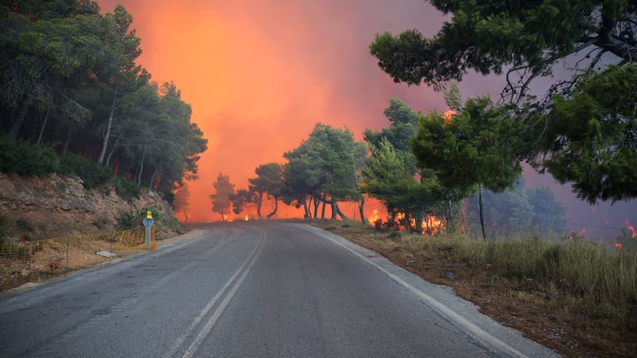 Wildfires: More than 500 firefighting forces deployed: Fires in Greece spreading